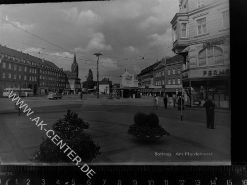 Bottrop Pferdemarkt