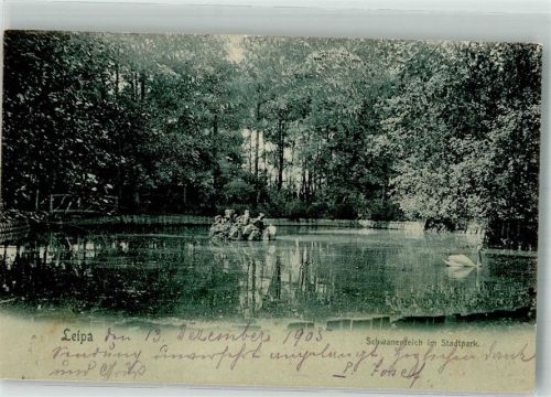 Ceska Lipa 1905 Schwanenteich im Stadtpark