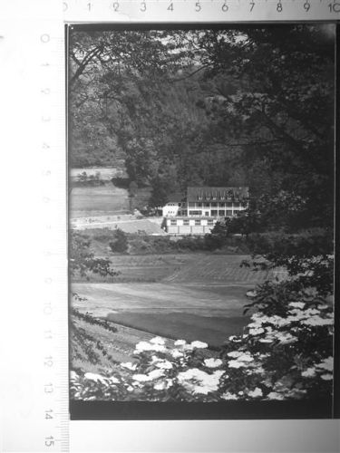 Dodenau