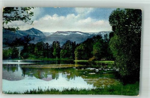 Buchwald Riesengebirge Großer Teich im Park zu Buchwald