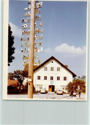 Ohlstadt Maibaum Rathaus