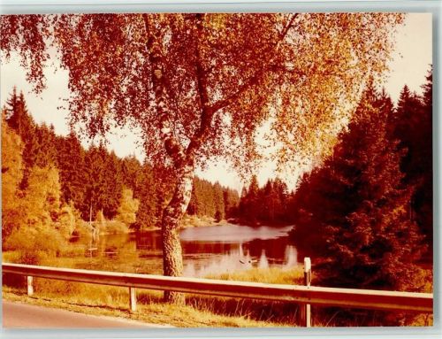 Neuhaus Neuer Teich