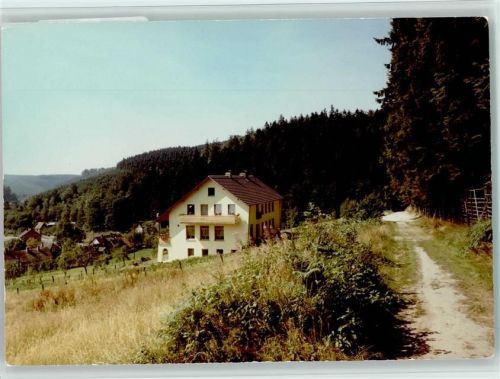 37603 W3450 Fohlenplacken FOTO KEINE AK Waldcafé Pension Rübezahl
