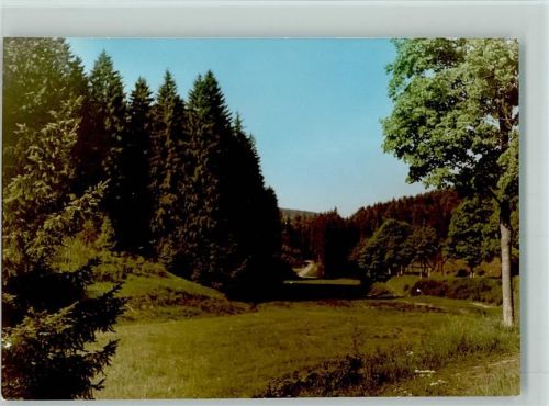 Springen Waldwanderweg