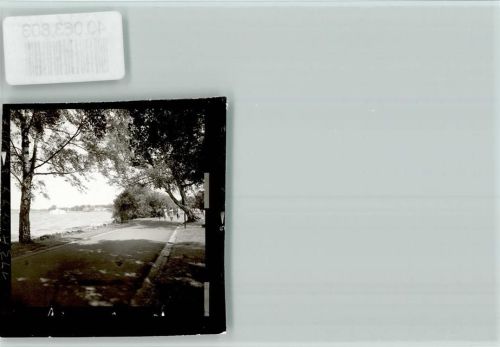 Bad Zwischenahn Bürgerpark
