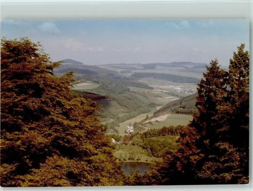 Daun Luftaufnahme Gemünder Maar