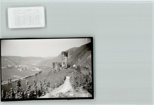 Beilstein In den Reben