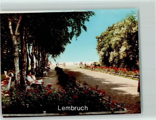 Lembruch Zeitung lesen unter Birken