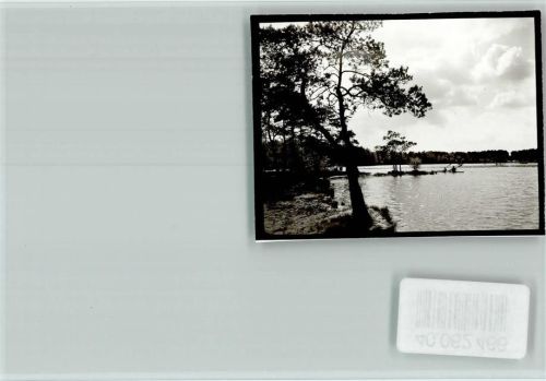 Großburgwedel Würmsee
