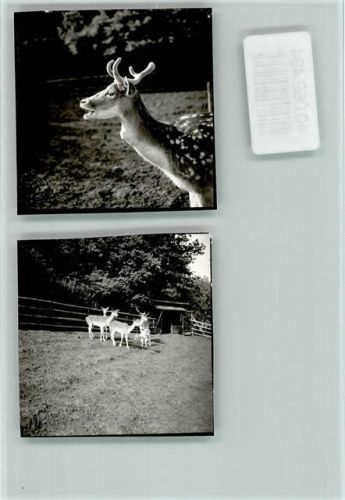 Westerburg Märchenpark