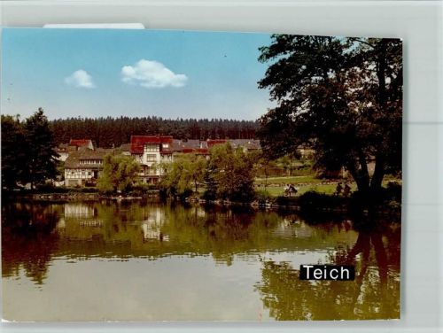 Neuhaus Teich