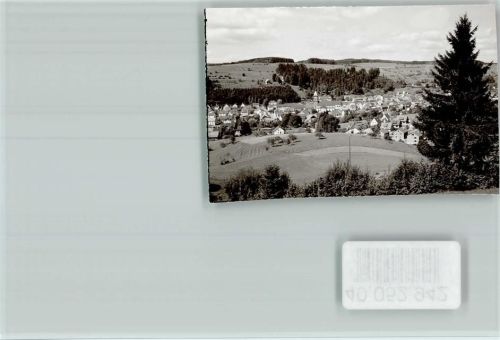 Elzach Ortsansicht