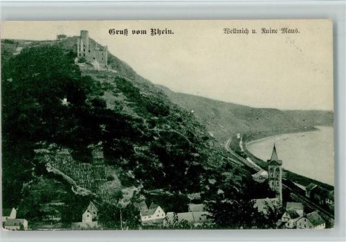 Wellmich Ruine Maus