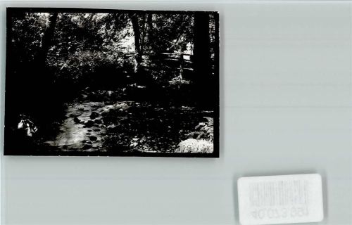 Hochwaldhausen Bachlauf