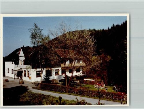 35236 W3565 Boxbach , Kr Biedenkopf FOTO KEINE AK Waldhotel