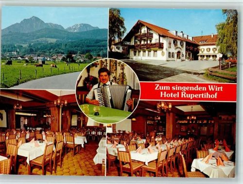 Ainring Zum singenden Wirt Hotel Rupertihof Innenaufnahmen Ziehharmonika Mehrfachaufnahme