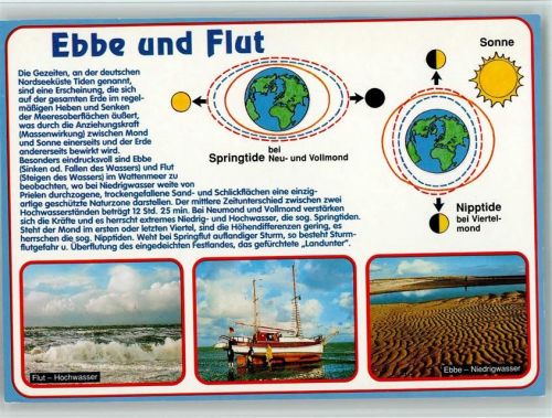 Die Gezeiten Ebbe und Flut