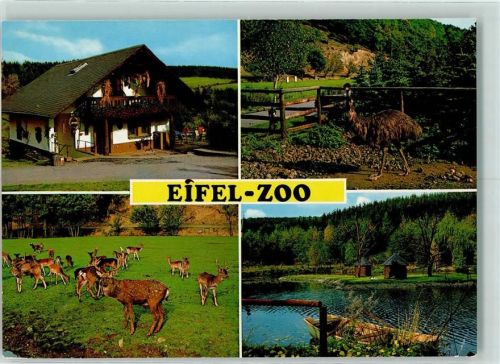 Pronsfeld Eifel-Zoo Strauss