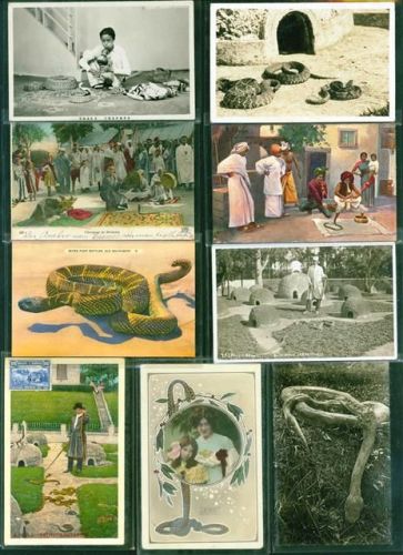 Schlangen Lot mit 14 AK, ca. 1908-1932; gute Erhaltung, teils gelaufen