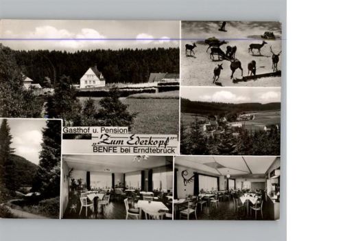 57339 W5927 Benfe - Gasthof, Pension Zum Ederkopf
