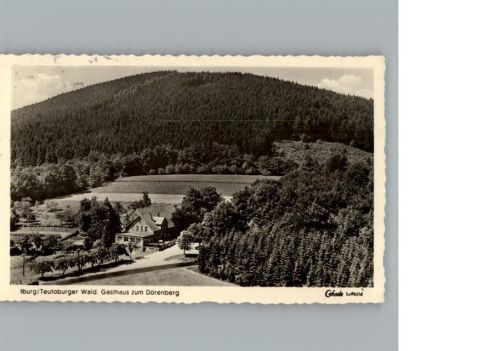 Bad Iburg Fliegeraufnahme, Gasthaus zum Dörenberg