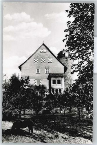 Aua Burg Neuenstein