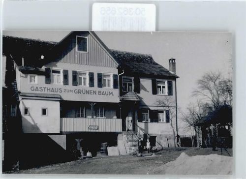 Egenhausen Gasthaus zum grünen Baum , Foto-Karte