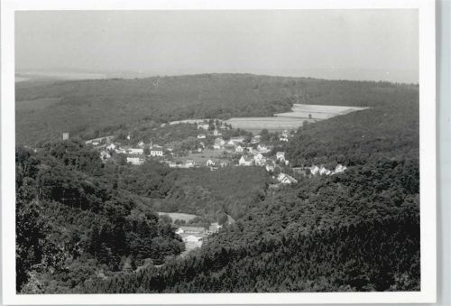 Altweilnau Foto