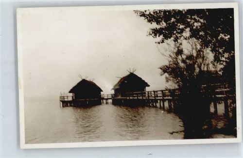 Pfullendorf See Steg Haus Baum