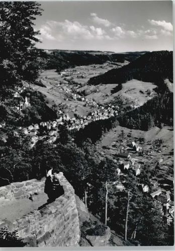 Schramberg Burgruine