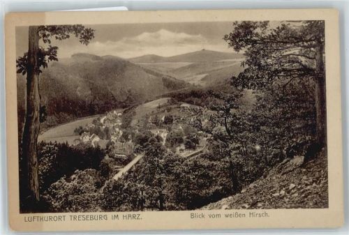 Treseburg Panorama Berg Wald Haus