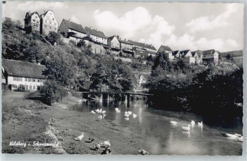 Wildberg