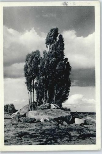 29646 W3045 Hörpel