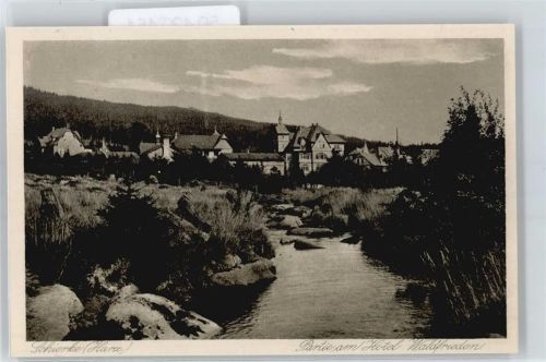 Schierke Hotel Waldfrieden Bach Baum Haus