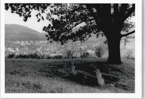 Eiershausen Baum Bank Haus Berg