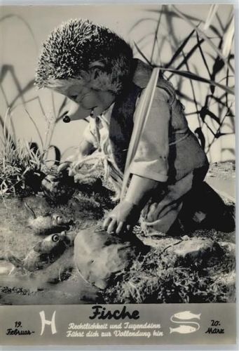 Fische Sternzeichen