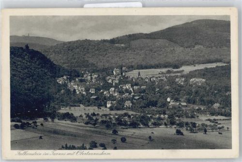 Falkenstein Berg Wald Haus Feld