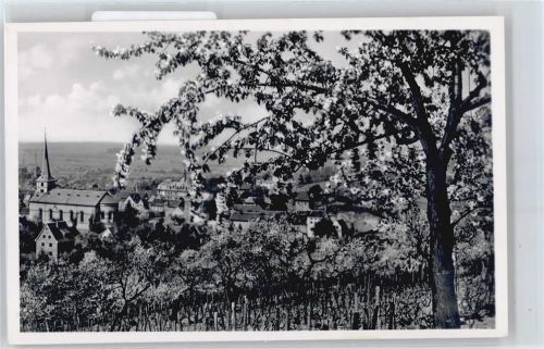 Bensheim Blütezeit