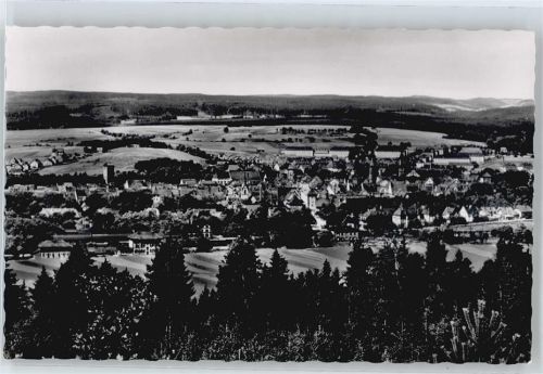 Villingen Feld Haus Baum Panorama