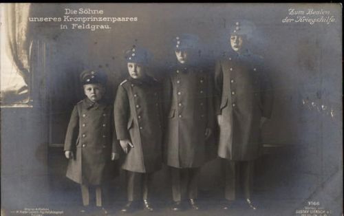Söhne des Kronprinzenpaares
