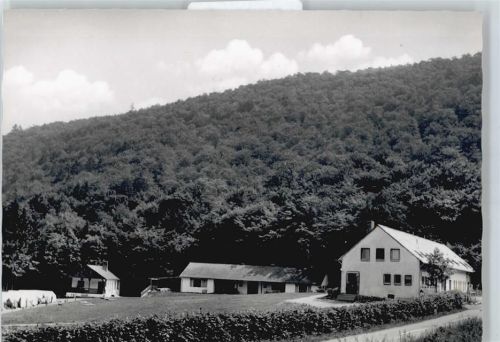 Edersee Haus WIese Baum