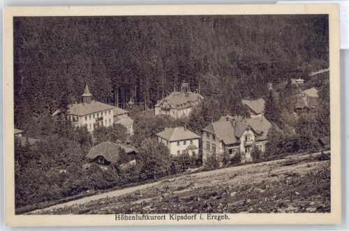 Kipsdorf Baum Haus Feld