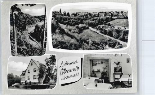 Elkenroth Pension Blick Sommerberg