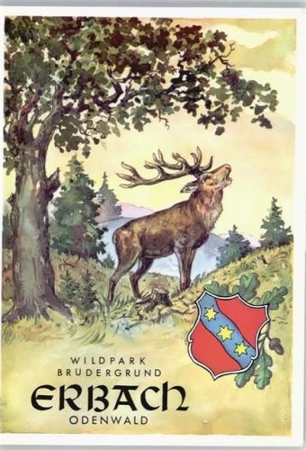 Erbach Wildpark Brudergrund, Hirsch, Wappen