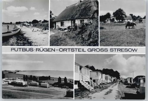Putbus Strand, Feriensiedlung, Pferd