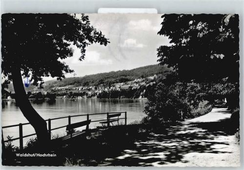 Waldshut Fluss Panorama