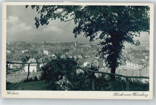 Artern Panorama
