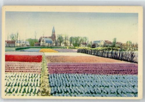 Utrecht Blumenfeld Kirche