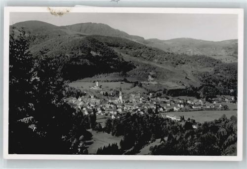 Schönau Gesamtansicht