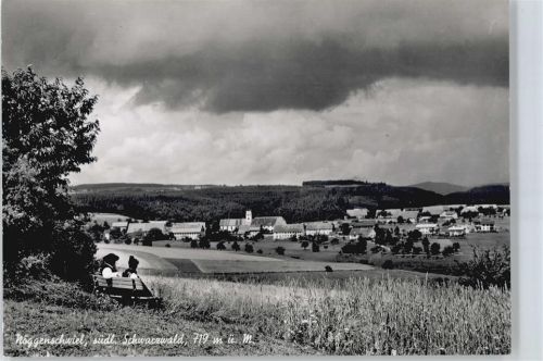 Nöggenschwiel
